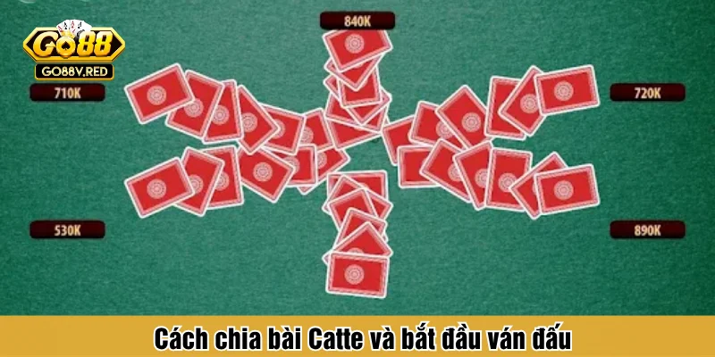 Cách chia bài Catte và bắt đầu ván đấu