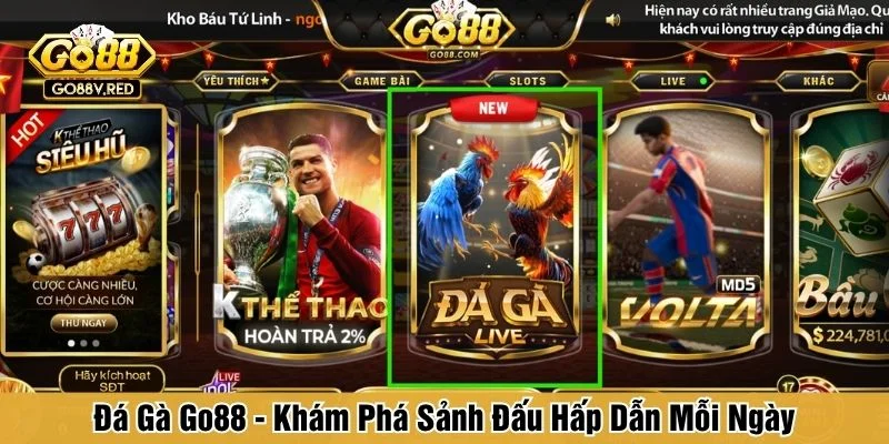 Đá Gà Go88